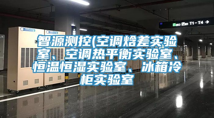智源測控(空調焓差實驗室、空調熱平衡實驗室、恒溫恒濕實驗室、冰箱冷柜實驗室