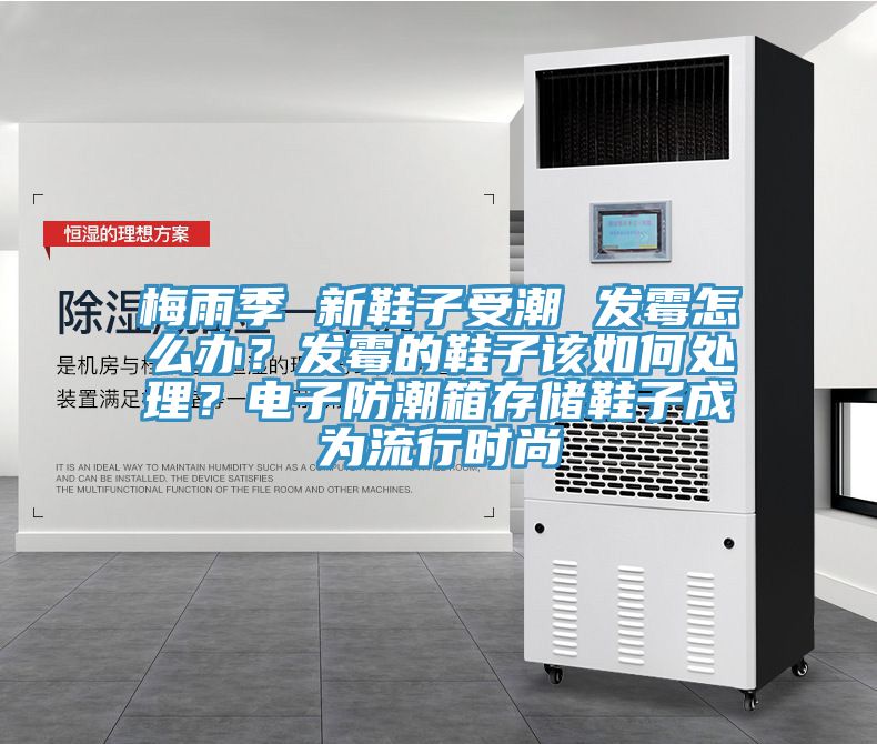 梅雨季 新鞋子受潮 發霉怎么辦？發霉的鞋子該如何處理？電子防潮箱存儲鞋子成為流行時尚