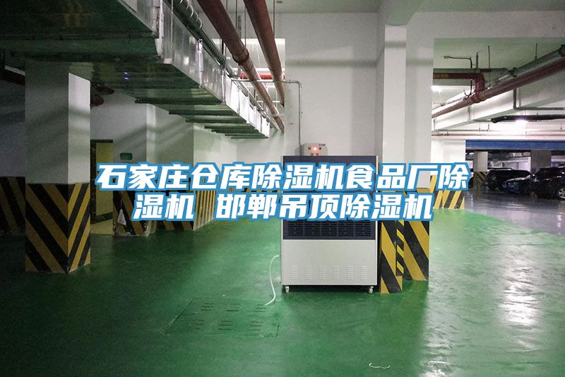石家莊倉(cāng)庫(kù)除濕機(jī)食品廠除濕機(jī) 邯鄲吊頂除濕機(jī)