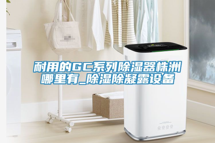 耐用的GC系列除濕器株洲哪里有_除濕除凝露設備