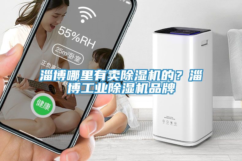淄博哪里有賣(mài)除濕機(jī)的？淄博工業(yè)除濕機(jī)品牌