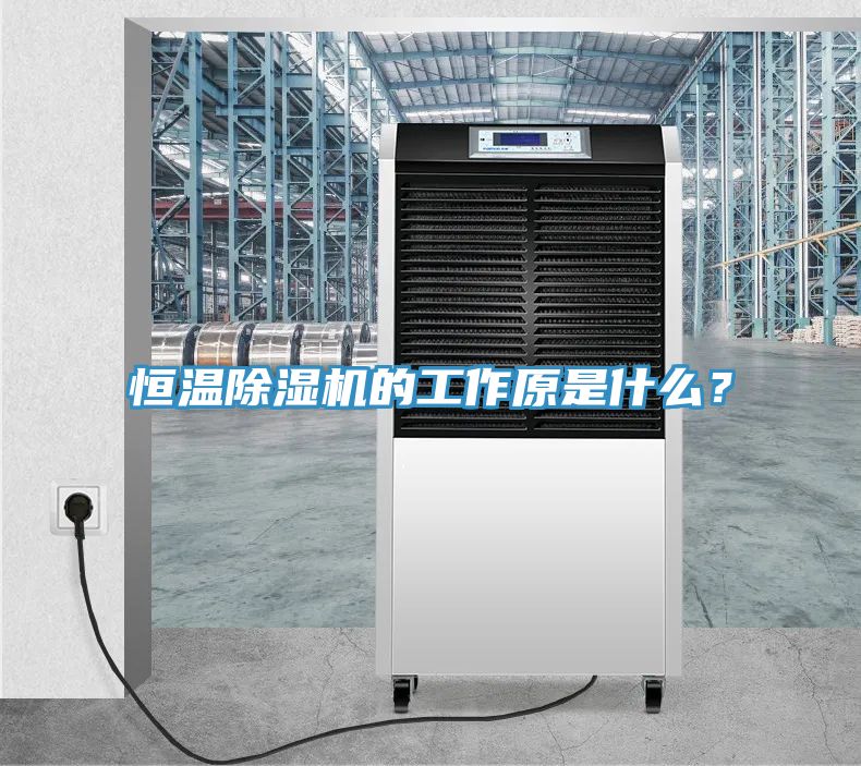 恒溫除濕機(jī)的工作原是什么？