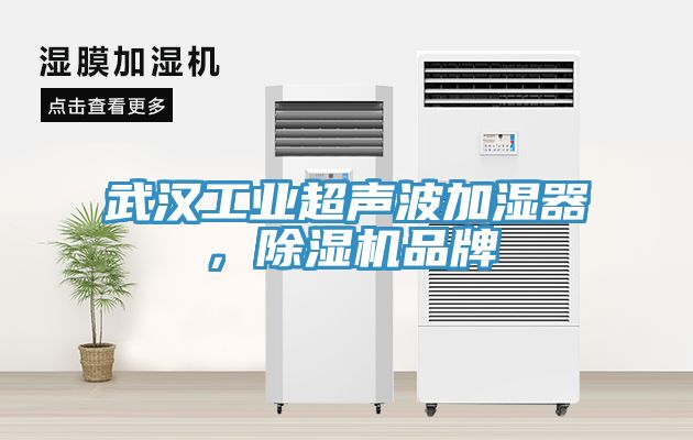 武漢工業超聲波加濕器，除濕機品牌