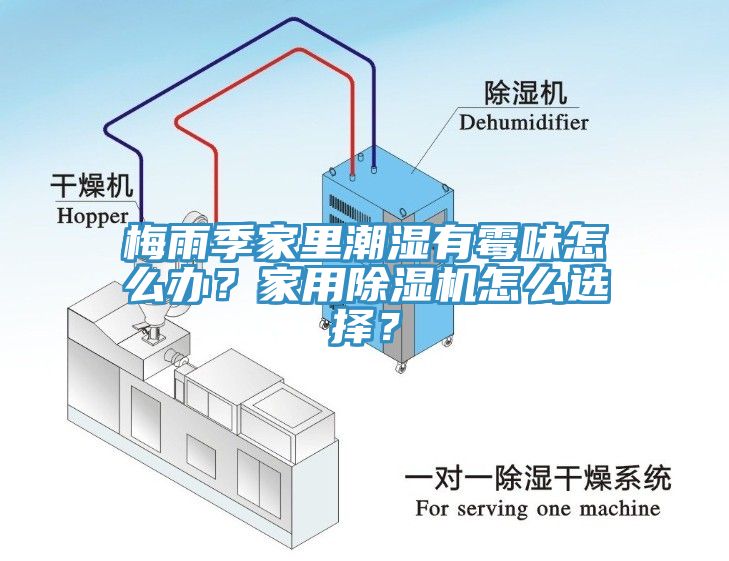 梅雨季家里潮濕有霉味怎么辦？家用除濕機怎么選擇？