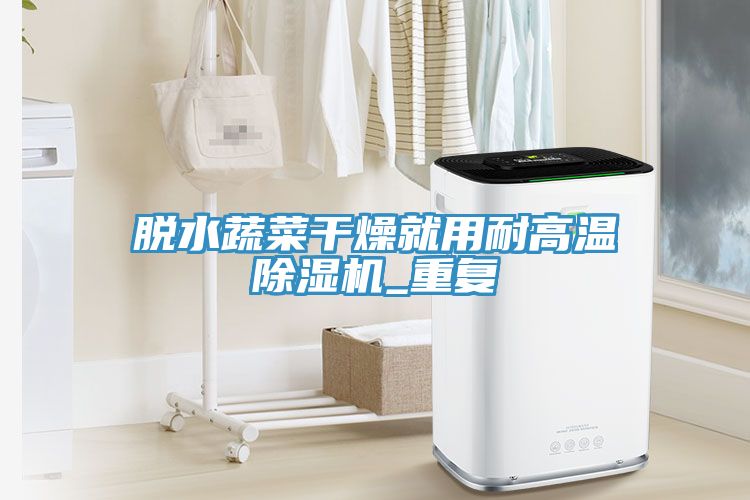 脫水蔬菜干燥就用耐高溫除濕機_重復