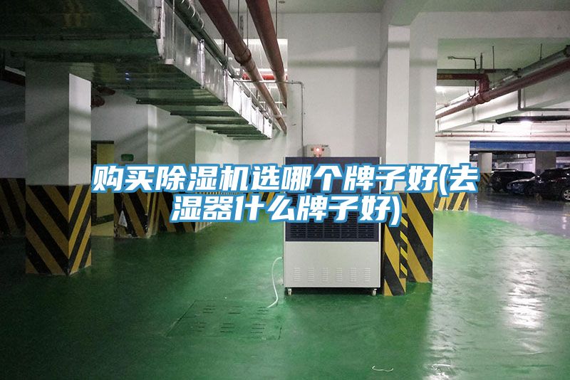 購(gòu)買除濕機(jī)選哪個(gè)牌子好(去濕器什么牌子好)