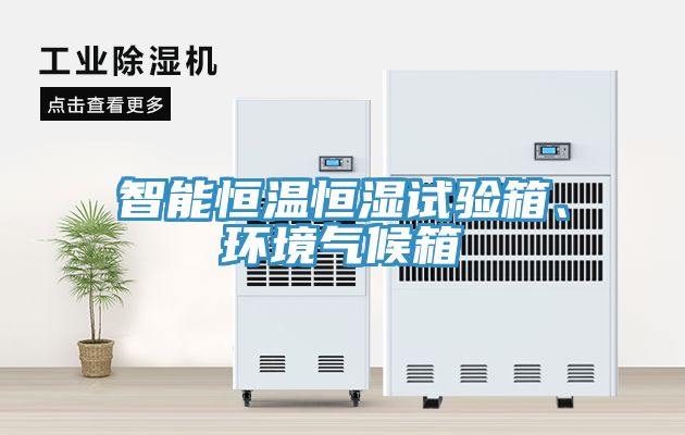 智能恒溫恒濕試驗箱、環(huán)境氣候箱