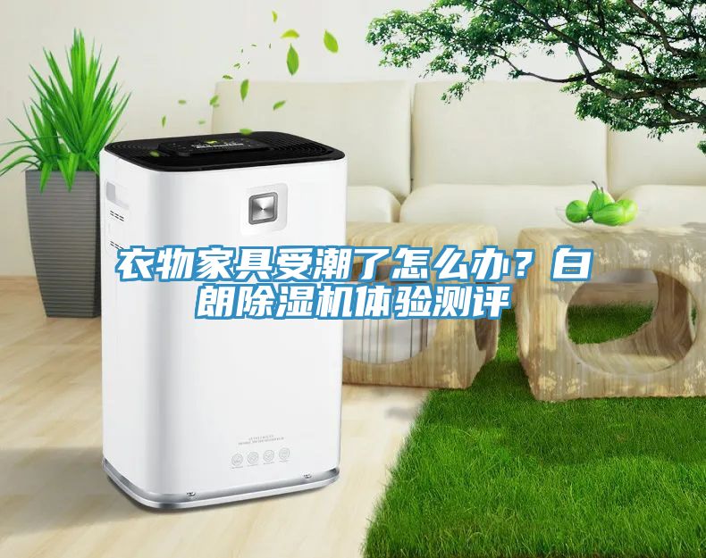 衣物家具受潮了怎么辦？白朗除濕機(jī)體驗(yàn)測(cè)評(píng)
