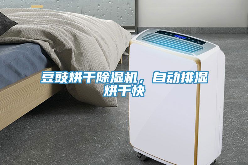 豆豉烘干除濕機，自動排濕烘干快