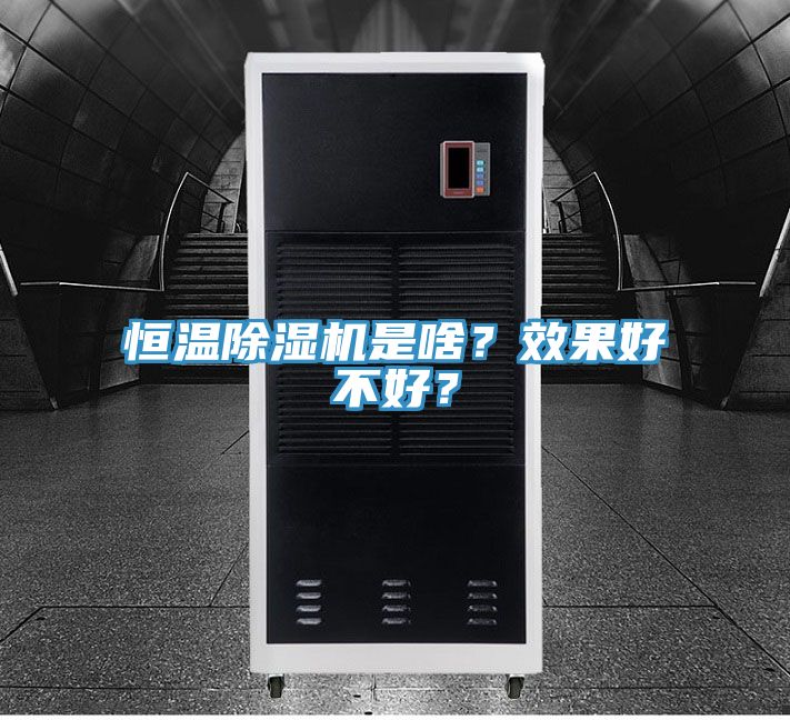 恒溫除濕機(jī)是啥？效果好不好？
