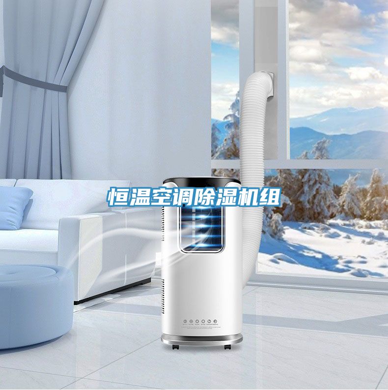 恒溫空調(diào)除濕機組