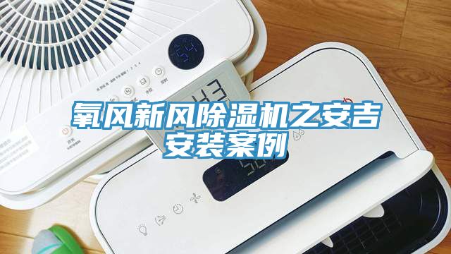 氧風新風除濕機之安吉安裝案例
