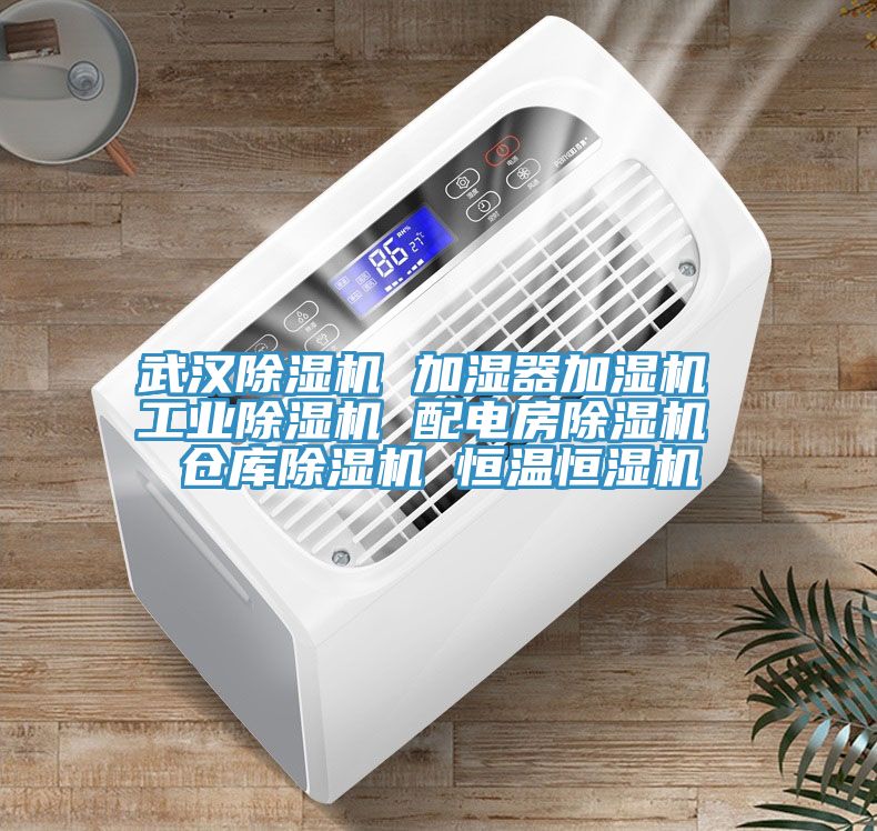 武漢除濕機 加濕器加濕機 工業除濕機 配電房除濕機 倉庫除濕機 恒溫恒濕機