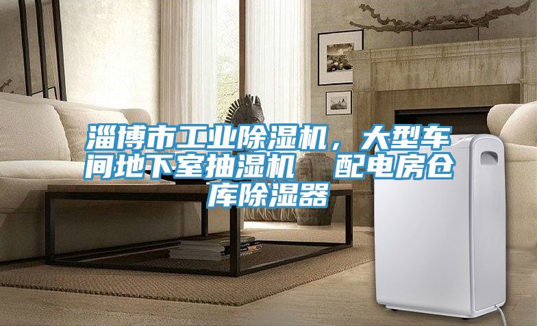 淄博市工業(yè)除濕機，大型車間地下室抽濕機  配電房倉庫除濕器