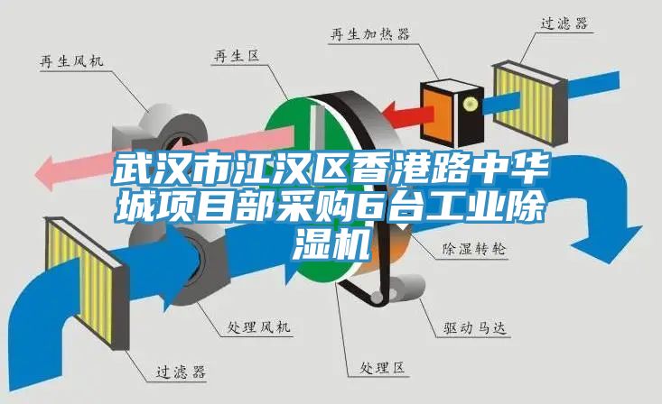 武漢市江漢區香港路中華城項目部采購6臺工業除濕機
