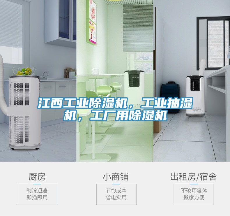 江西工業除濕機，工業抽濕機，工廠用除濕機