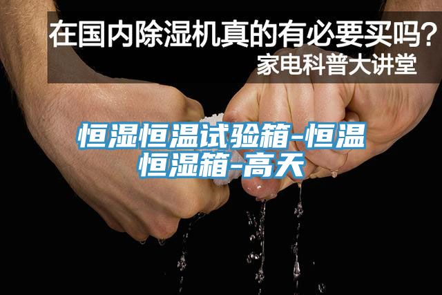 恒濕恒溫試驗(yàn)箱-恒溫恒濕箱-高天