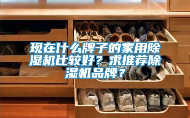 現(xiàn)在什么牌子的家用除濕機(jī)比較好？求推薦除濕機(jī)品牌？