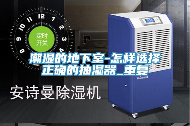 潮濕的地下室-怎樣選擇正確的抽濕器_重復