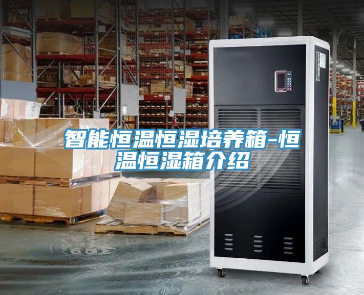 智能恒溫恒濕培養箱-恒溫恒濕箱介紹