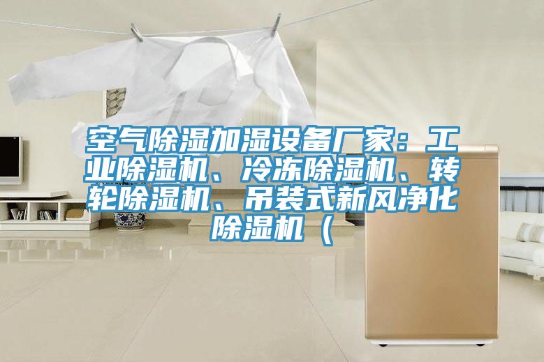 空氣除濕加濕設備廠家：工業除濕機、冷凍除濕機、轉輪除濕機、吊裝式新風凈化除濕機（