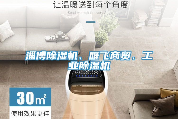 淄博除濕機、雁飛商貿(mào)、工業(yè)除濕機