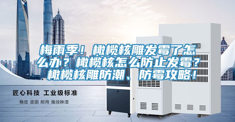 梅雨季！橄欖核雕發(fā)霉了怎么辦？橄欖核怎么防止發(fā)霉？ 橄欖核雕防潮、防霉攻略！