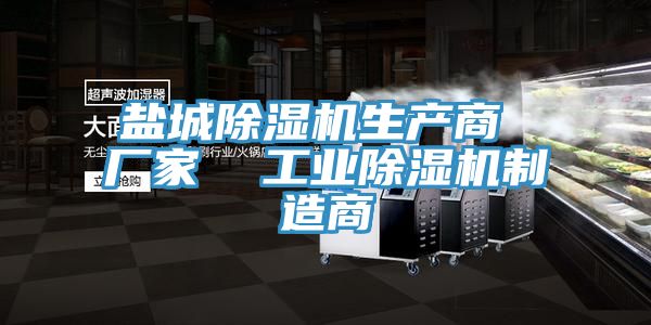 鹽城除濕機生產商 廠家  工業除濕機制造商