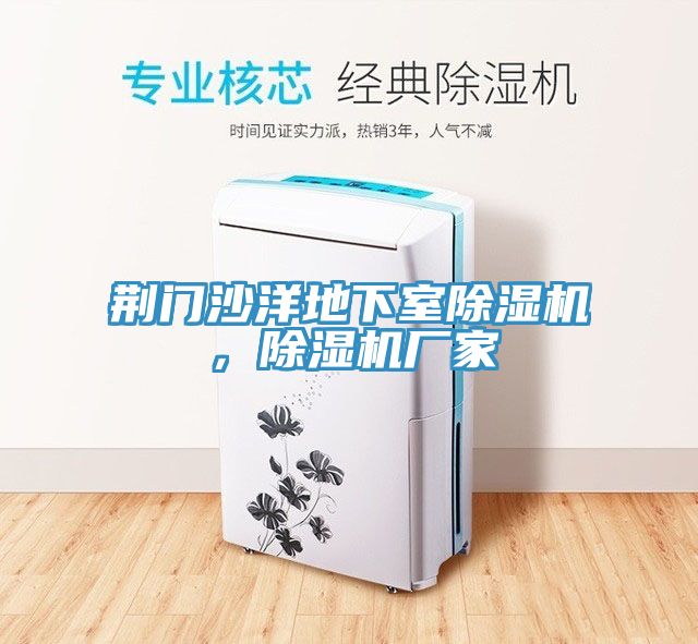 荊門沙洋地下室除濕機(jī)，除濕機(jī)廠家