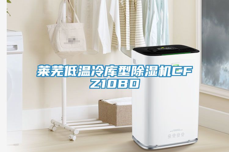 萊蕪低溫冷庫型除濕機(jī)CFZ10BD