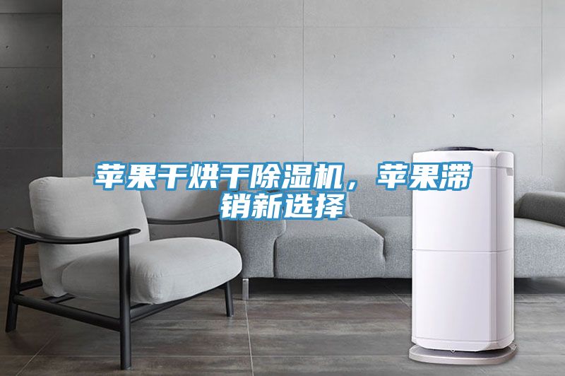 蘋果干烘干除濕機，蘋果滯銷新選擇