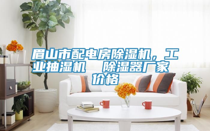 眉山市配電房除濕機(jī)，工業(yè)抽濕機(jī)  除濕器廠家 價(jià)格