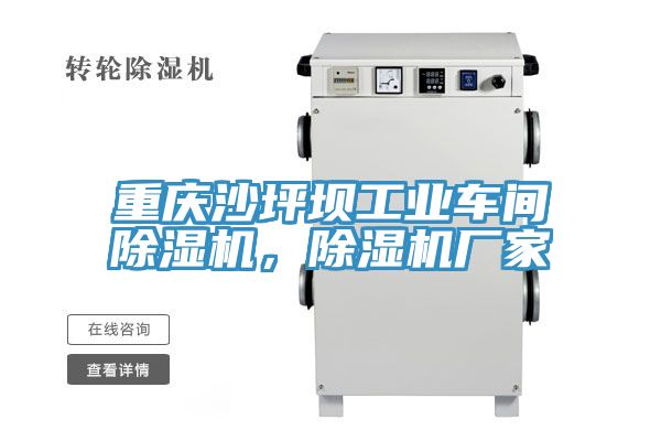重慶沙坪壩工業(yè)車間除濕機(jī)，除濕機(jī)廠家
