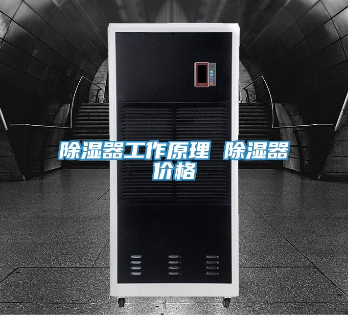 除濕器工作原理 除濕器價格