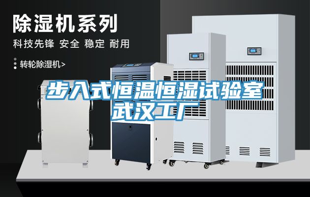 步入式恒溫恒濕試驗(yàn)室武漢工廠