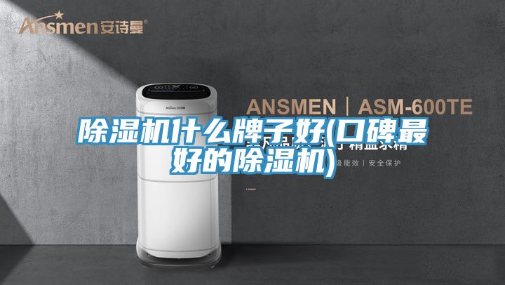 除濕機什么牌子好(口碑最好的除濕機)