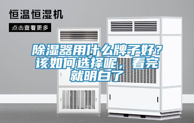 除濕器用什么牌子好？該如何選擇呢，看完就明白了
