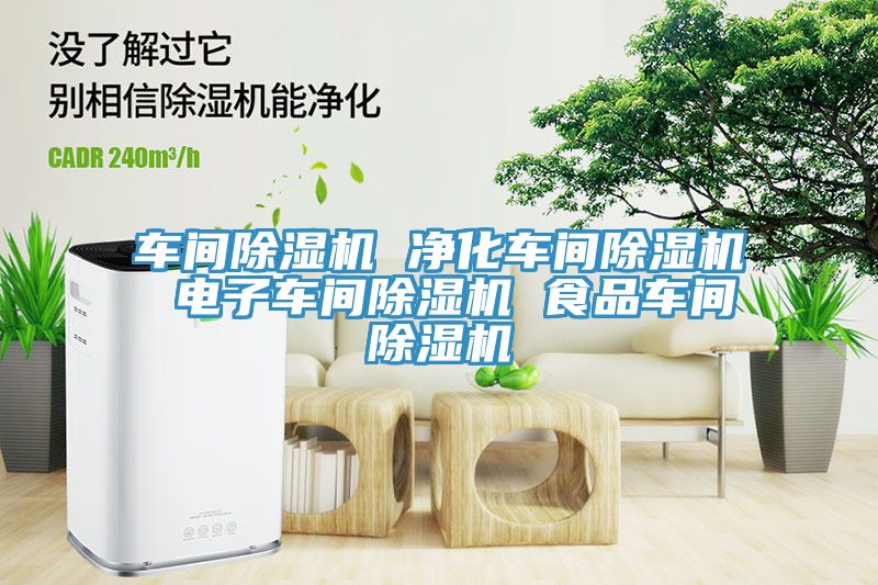 車間除濕機 凈化車間除濕機 電子車間除濕機 食品車間除濕機