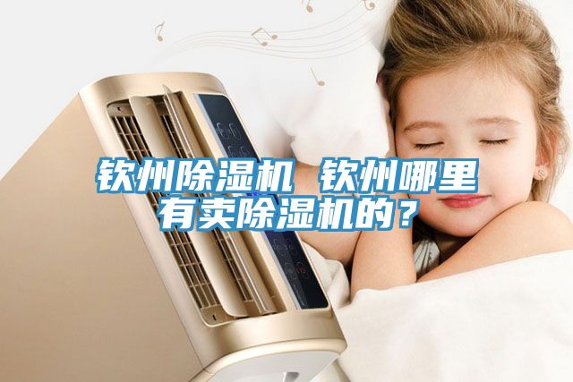 欽州除濕機(jī) 欽州哪里有賣除濕機(jī)的？