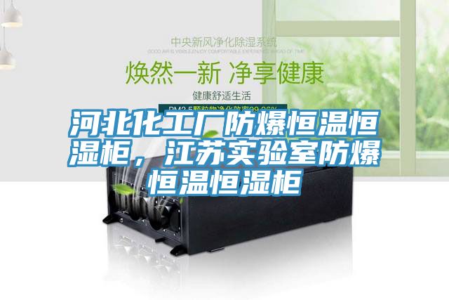 河北化工廠防爆恒溫恒濕柜，江蘇實驗室防爆恒溫恒濕柜