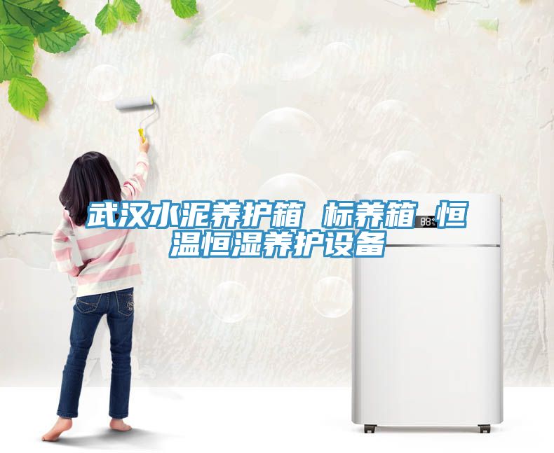 武漢水泥養護箱 標養箱 恒溫恒濕養護設備
