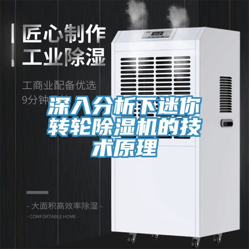 深入分析下迷你轉(zhuǎn)輪除濕機的技術(shù)原理
