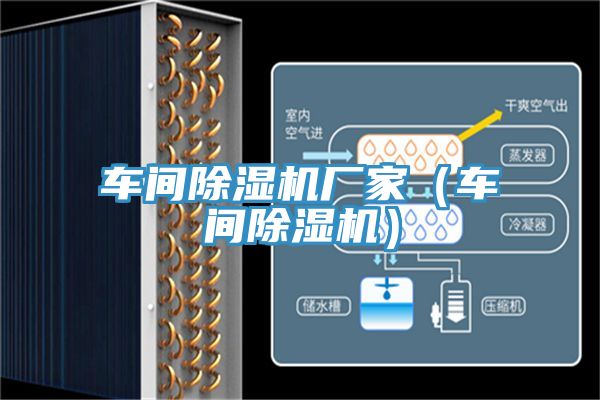 車間除濕機廠家（車間除濕機）