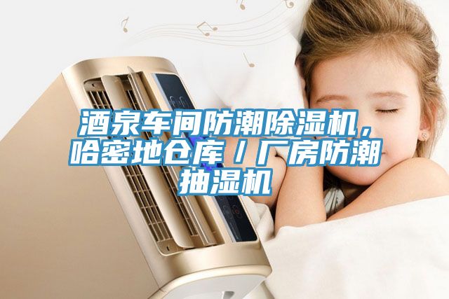 酒泉車(chē)間防潮除濕機(jī)，哈密地倉(cāng)庫(kù)／廠(chǎng)房防潮抽濕機(jī)