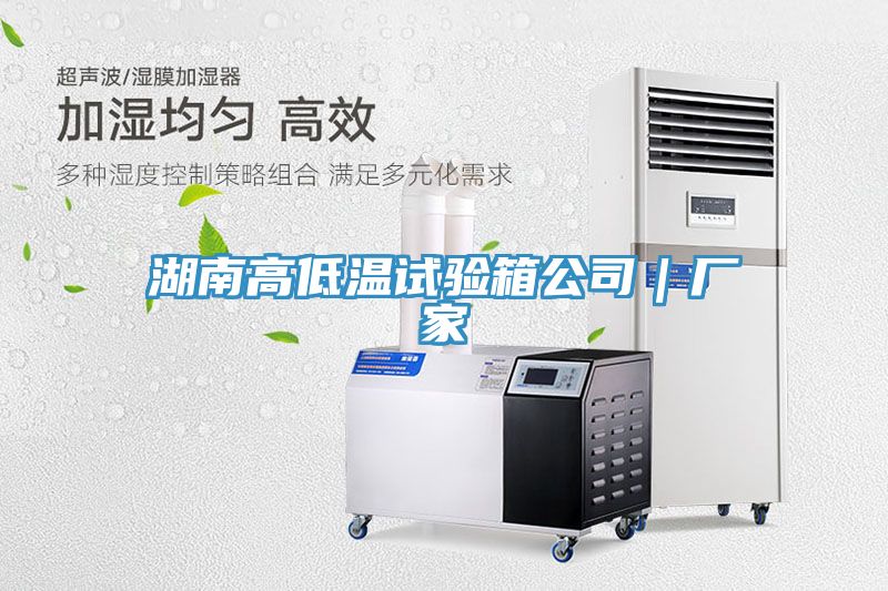 湖南高低溫試驗箱公司｜廠家
