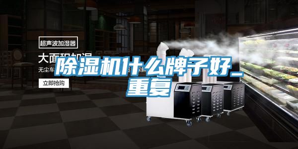 除濕機什么牌子好_重復