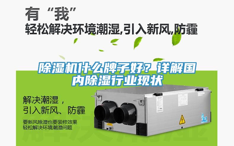 除濕機什么牌子好？詳解國內(nèi)除濕行業(yè)現(xiàn)狀