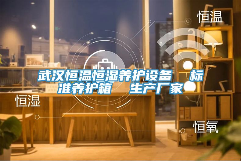 武漢恒溫恒濕養(yǎng)護設(shè)備  標準養(yǎng)護箱  生產(chǎn)廠家