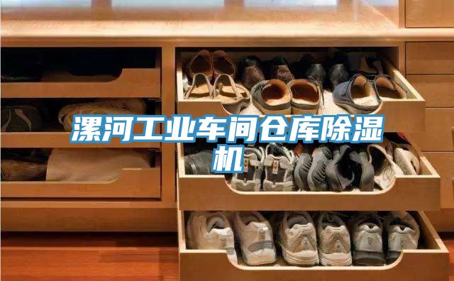 漯河工業車間倉庫除濕機