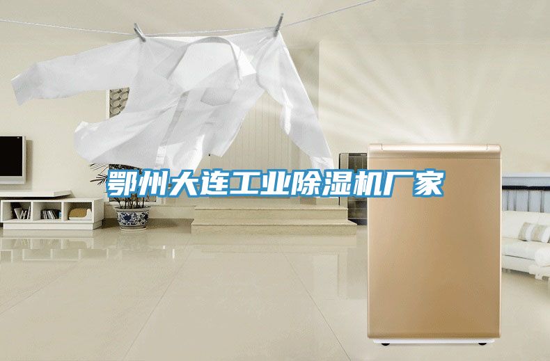 鄂州大連工業(yè)除濕機(jī)廠(chǎng)家